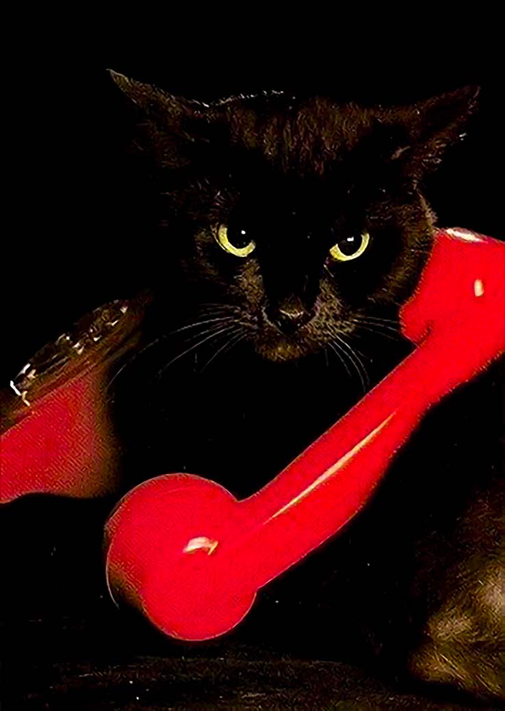 Shadow Signal Eco Tote Bag — Econscious EC8000 Black Canvas Tote